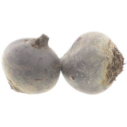 BIO BETTERAVE CRUE PREPACK FILET 8X500G